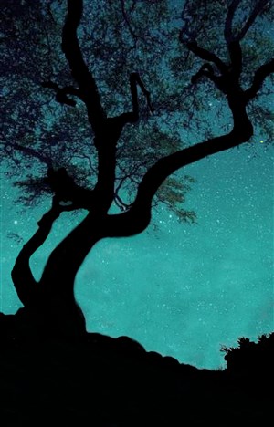 Affiche de L'Arbre à rêver