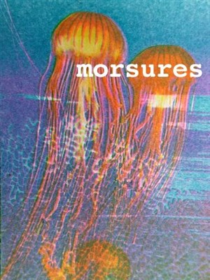 Affiche de Morsures