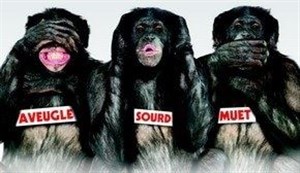 Affiche de Les bonobos