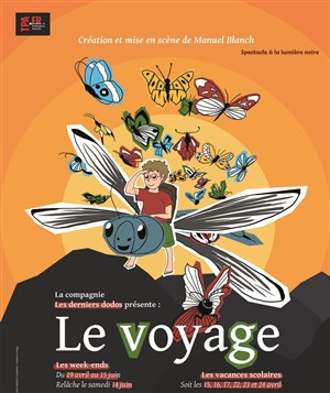 Affiche de Le Voyage