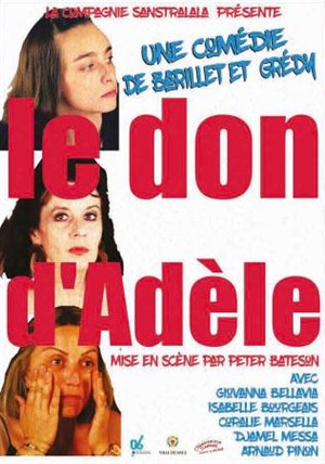 Affiche de Le don d'Adèle