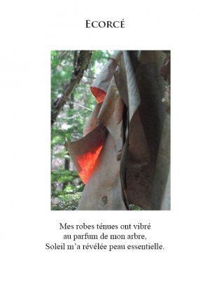 Affiche de Feu Subtil