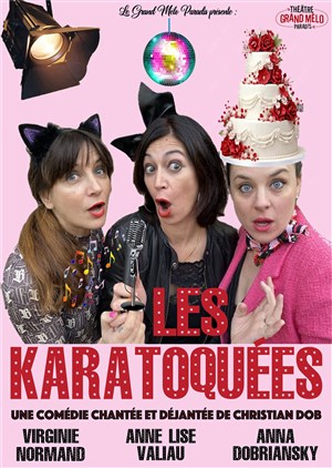 Affiche de Les Karatoquées