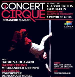 Affiche de Concert-Cirque
