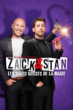 Affiche de Zack et Stan : Les Sales Gosses de la Magie