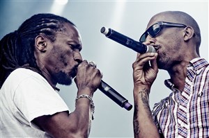 Affiche de Raggasonic/El Maestro & backing band