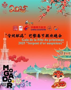 Affiche de Gala du Nouvel An chinois 2025 : Serpent d'or auspicieux