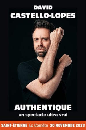 Affiche de David Castello Lopes dans Authentique