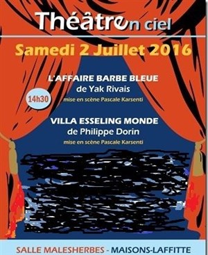 Affiche de L'affaire barbe bleue - Villa Esseling Monde