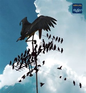 Affiche de Big EDIM Band