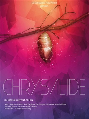 Affiche de Chrysalide