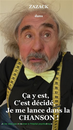 Affiche de Ça y est, c’est décidé, je me lance dans la chanson !