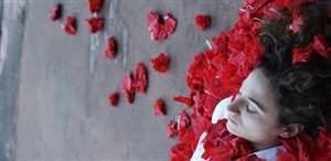 Affiche de Antigone de la tristesse dans nos têtes