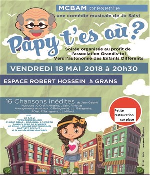 Affiche de Papy, t'es où ?