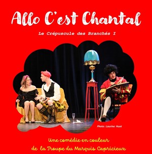 Affiche de Allo C'est Chantal