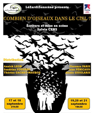 Affiche de Combien d'oiseaux dans le ciel ?