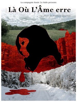 Affiche de Là Où L'Âme erre
