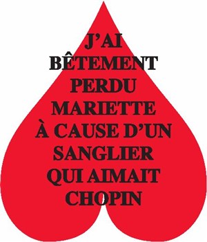Affiche de J'ai bêtement perdu Mariette à cause d'un sanglier qui aimait Chopin