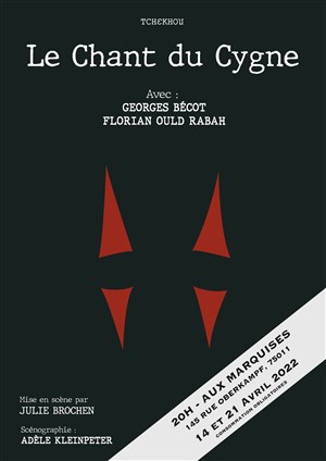 Affiche de Le chant du cygne