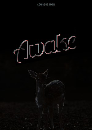 Affiche de Awake