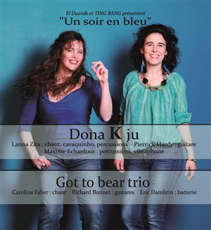 Affiche de Un soir en bleu