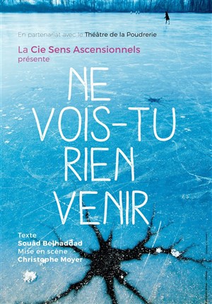 Affiche de Ne vois-tu rien venir