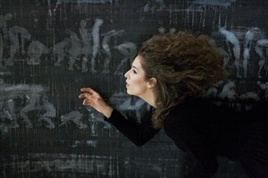 Affiche de En suivant Salomé...