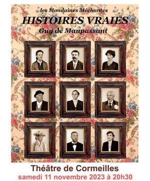 Affiche de Histoires vraies