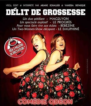 Affiche de Délit de grossesse