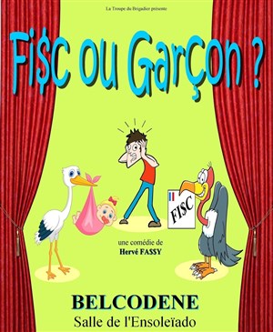 Affiche de Fisc ou Garçon ?