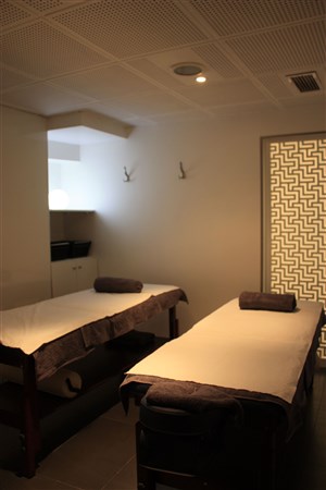Affiche de Massage en duo 1h30 : Shiatsu + lymphatique
