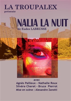 Affiche de Nalia la nuit