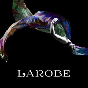 Affiche de Larobe