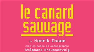 Affiche de Le Canard sauvage