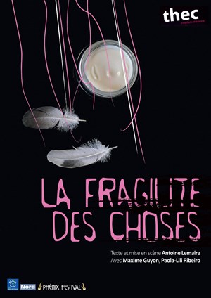 Affiche de La fragilité des choses | Phénix Festival