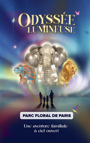 Affiche de L'Odyssée Lumineuse