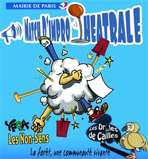 Affiche de Les Drôles de Cailles invitent Les Non Sens