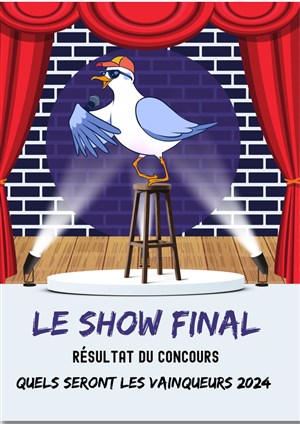 Affiche de Le show final