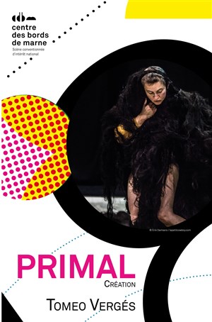 Affiche de Primal