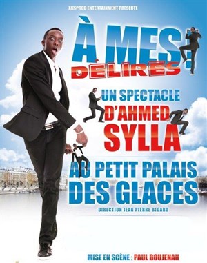 Affiche de Ahmed Sylla dans A mes délires !