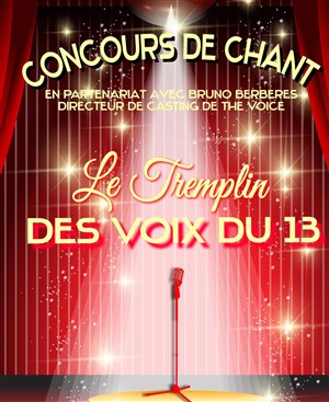 Affiche de Finale du Tremplin des voix du 13