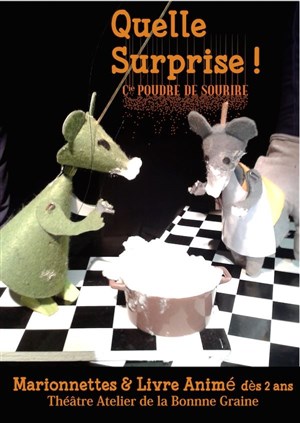 Affiche de Quelle surprise !