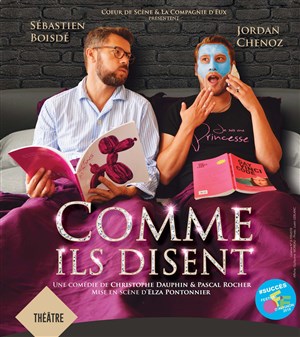 Affiche de Comme ils disent