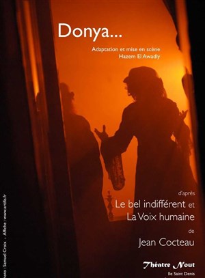 Affiche de Le bel indifférent