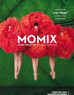 Affiche de Momix