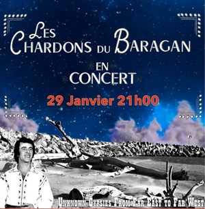 Affiche de Les chardons du Baragan