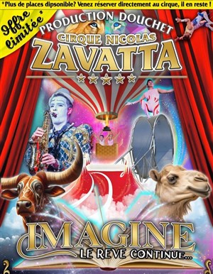 Affiche de Cirque Nicolas Zavatta dans Imagine | Evreux