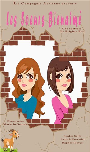 Affiche de Les soeurs Bienaimé