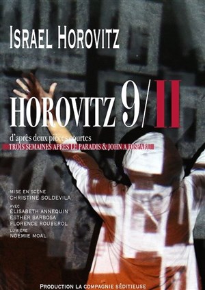 Affiche de Horovitz 9/11