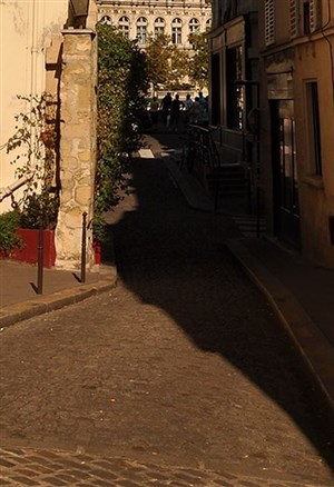 Affiche de Visite guidée : l'île de la Cité insolite